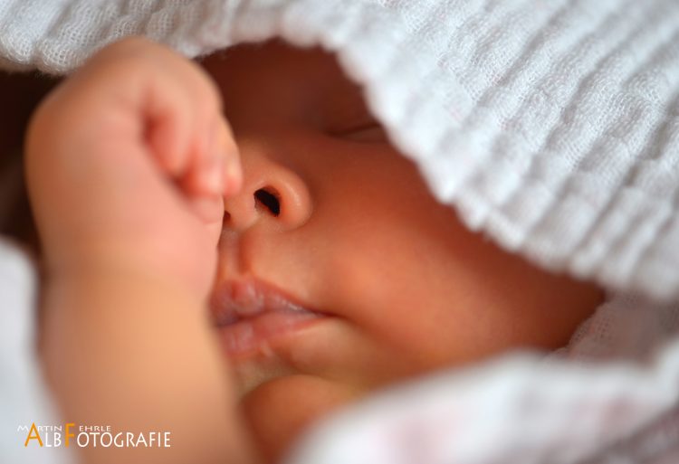 601©Albfotografie_MF-750×513